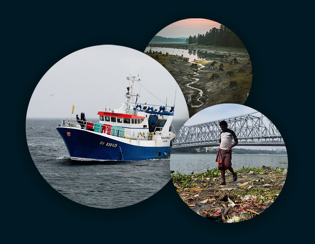 Montage of images showing fishing, deforestation and pollution
