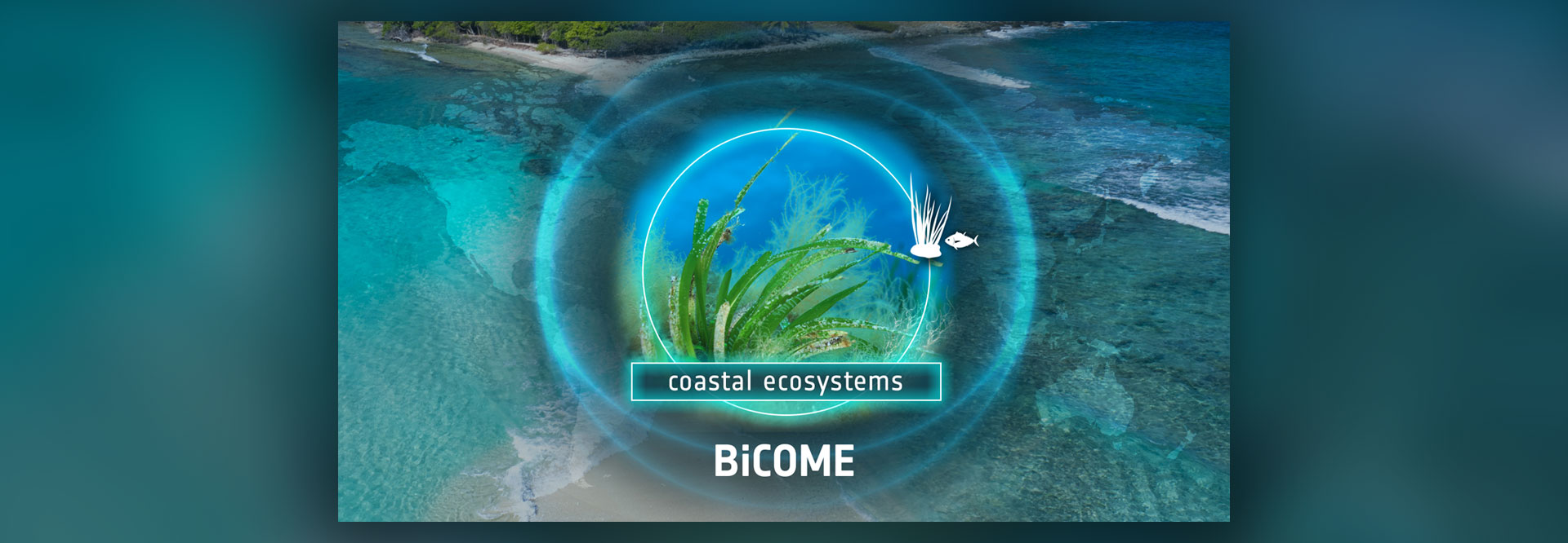 Visual created from icon of a fish and seaweed and seagrass photo in the middle